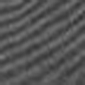 Black Stripe